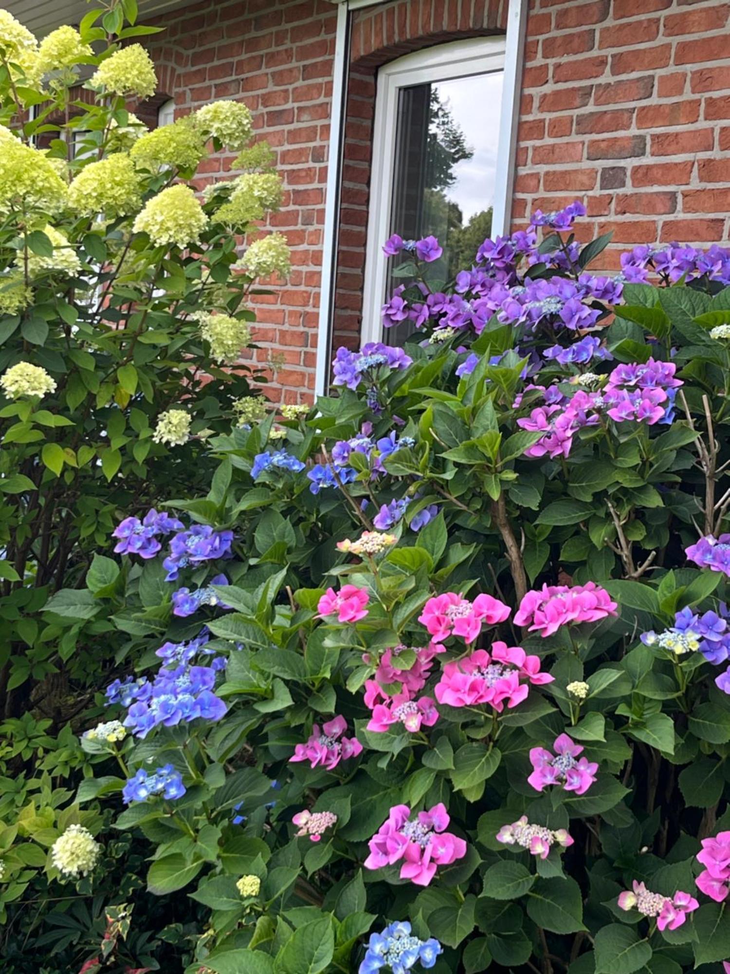 Gartenzimmer Zwischen Den Meeren Ladelund Eksteriør bilde