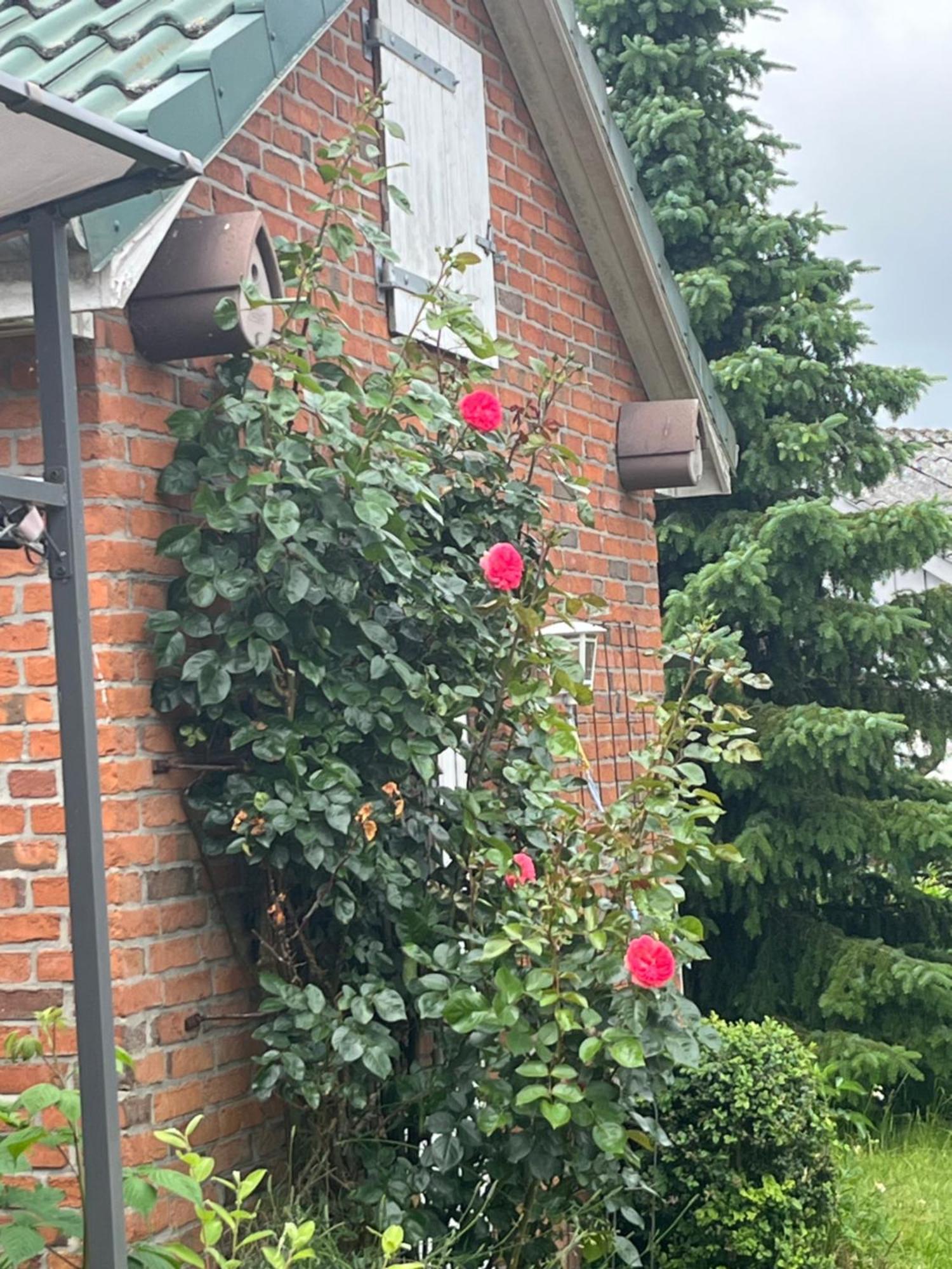 Gartenzimmer Zwischen Den Meeren Ladelund Eksteriør bilde